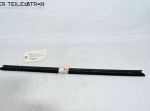 Door Seal RENAULT Twingo III (BCM)