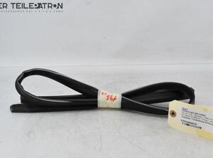 Door Seal SEAT Leon SC (5F5)