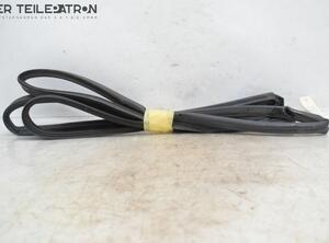 Door Seal HONDA Civic VIII Hatchback (FK, FN), HONDA Civic IX (FK)