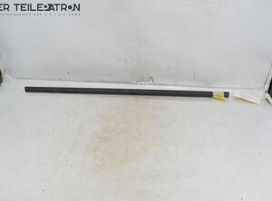 Door Seal HONDA Accord VII Tourer (CM, CN)