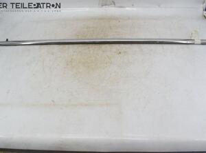 Door Seal HONDA ACCORD VII (CL, CN)