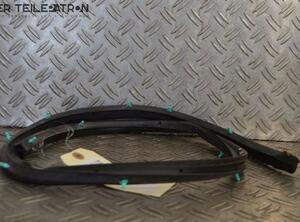 Door Seal NISSAN Qashqai +2 I (J10, JJ10E, NJ10)