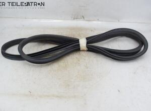 Door Seal HONDA Accord VII (CL, CN)