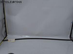 Door Seal TOYOTA IQ (_J1_)