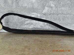 Door Seal RENAULT TWINGO III (BCM_, BCA_)