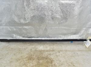 Door Seal NISSAN QASHQAI / QASHQAI +2 I (J10, NJ10, JJ10E)