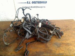 Wiring Harness VW FOX Hatchback (5Z1, 5Z3, 5Z4)