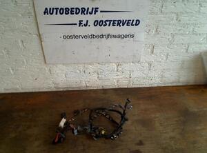 Wiring Harness VW POLO (6R1, 6C1), VW POLO Van (6R)