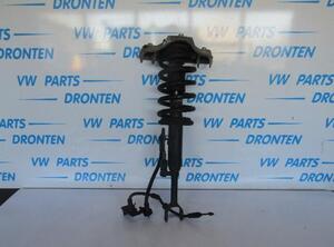 Suspension Strut AUDI A6 Avant (4B5, C5)