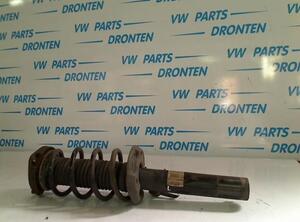 Suspension Strut AUDI A3 (8P1), AUDI A3 Sportback (8PA)