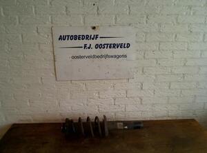 Shock Absorber VW PASSAT B7 Variant (365)