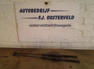 Gas Spring AUDI A3 Sportback (8VA, 8VF), AUDI A6 Allroad (4GH, 4GJ, C7)