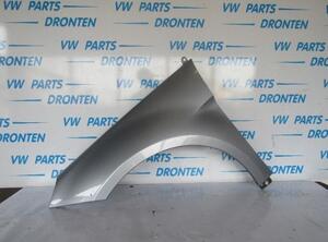 Spatbord MERCEDES-BENZ B-CLASS (W245)