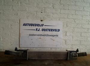 Intercooler FIAT GRANDE PUNTO (199_), FIAT PUNTO (199_), FIAT PUNTO EVO (199_)