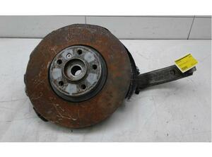 Stub Axle BMW X6 (E71, E72), BMW X5 (E70)