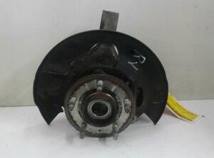 Stub Axle OPEL Antara (L07)