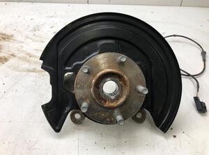 Stub Axle NISSAN LEAF (ZE1), NISSAN JUKE (F15)