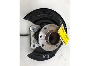 Stub Axle RENAULT CLIO V (B7_)