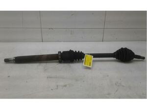 Drive Shaft FORD Focus (DAW, DBW)