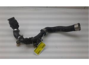 Wiring Harness NISSAN MICRA V (K14)