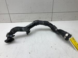 Wiring Harness NISSAN MICRA V (K14)