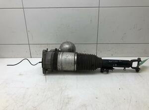 Suspension Strut VW Phaeton (3D1, 3D2, 3D3, 3D4, 3D6, 3D7, 3D8, 3D9)