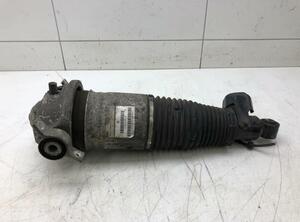 Suspension Strut VW TOUAREG (7LA, 7L6, 7L7)