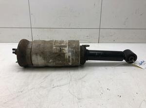 Suspension Strut LAND ROVER Discovery IV (LA), LAND ROVER Discovery III (LA)