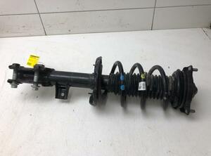 Suspension Strut KIA SPORTAGE (QL, QLE)