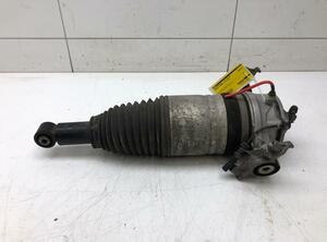 Suspension Strut PORSCHE CAYENNE (92A)