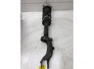 Suspension Strut AUDI A4 Avant (8W5, 8WD, B9)