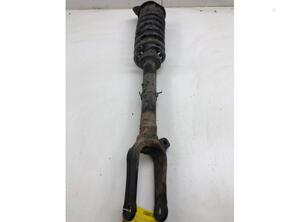 Suspension Strut MERCEDES-BENZ M-CLASS (W164)