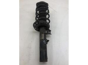 Suspension Strut AUDI A3 (8P1), AUDI A3 Sportback (8PA)