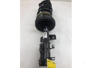 Suspension Strut MERCEDES-BENZ V-CLASS (W447), MERCEDES-BENZ EQV (W447)