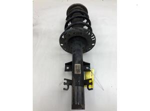 Suspension Strut VW TRANSPORTER VI Van (SGA, SGH, SHA, SHH), VW TRANSPORTER V Van (7HA, 7HH, 7EA, 7EH)