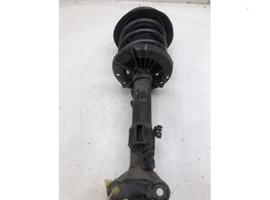 Suspension Strut MERCEDES-BENZ C-CLASS (W203)