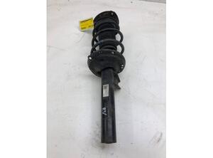 Suspension Strut VW GOLF VII (5G1, BQ1, BE1, BE2), VW GOLF VII Variant (BA5, BV5), VW GOLF VIII Variant (CG5)