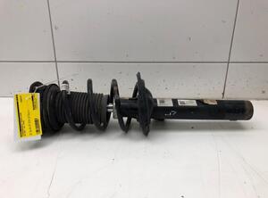 Suspension Strut VW GOLF VII (5G1, BQ1, BE1, BE2), VW GOLF VIII Variant (CG5), VW GOLF VII Variant (BA5, BV5)