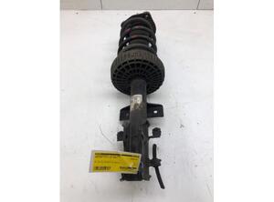 Suspension Strut MERCEDES-BENZ VIANO (W639)