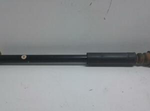 Shock Absorber FORD Fiesta VI (CB1, CCN), FORD Fiesta VI Van (--)