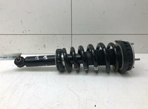 Shock Absorber JAGUAR F-Type Coupe (X152), JAGUAR XK Coupe (X150)