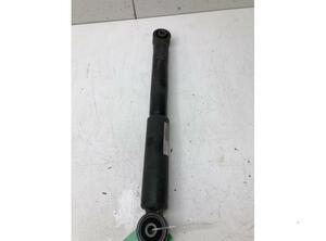 Shock Absorber VW Transporter VI Kasten (SGA, SGH, SHA, SHH)