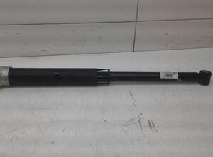 Shock Absorber FORD Fiesta VII (HF, HJ), FORD Fiesta VII Van (--)