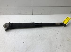 Shock Absorber SEAT Leon (5F1), SEAT Leon SC (5F5)