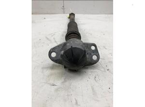 Shock Absorber SEAT IBIZA IV (6J5, 6P1), SEAT IBIZA IV SC (6J1, 6P5), SEAT IBIZA IV ST (6J8, 6P8)