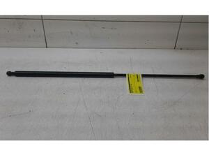 Bootlid (Tailgate) Gas Strut Spring RENAULT KANGOO (KC0/1_)