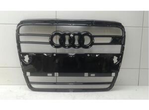 P13956324 Kühlergrill AUDI A6 (4F, C6) 4F0800107