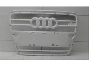 Kühlergrill Audi A6 4F, C6 4F0800107 P13958300