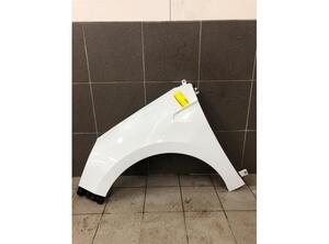 Spatbord RENAULT CLIO V (B7_)