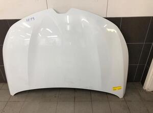 Bonnet RENAULT CLIO V (B7_)